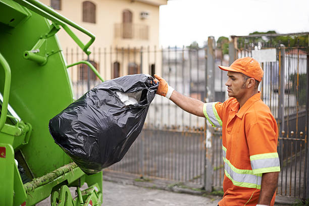 Yard Cleanup Services in Lone Oak, TN